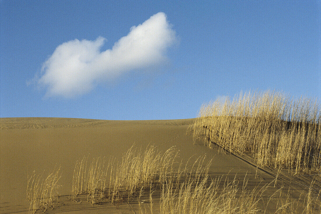 Bald Head Hills Manitoba, Kanada