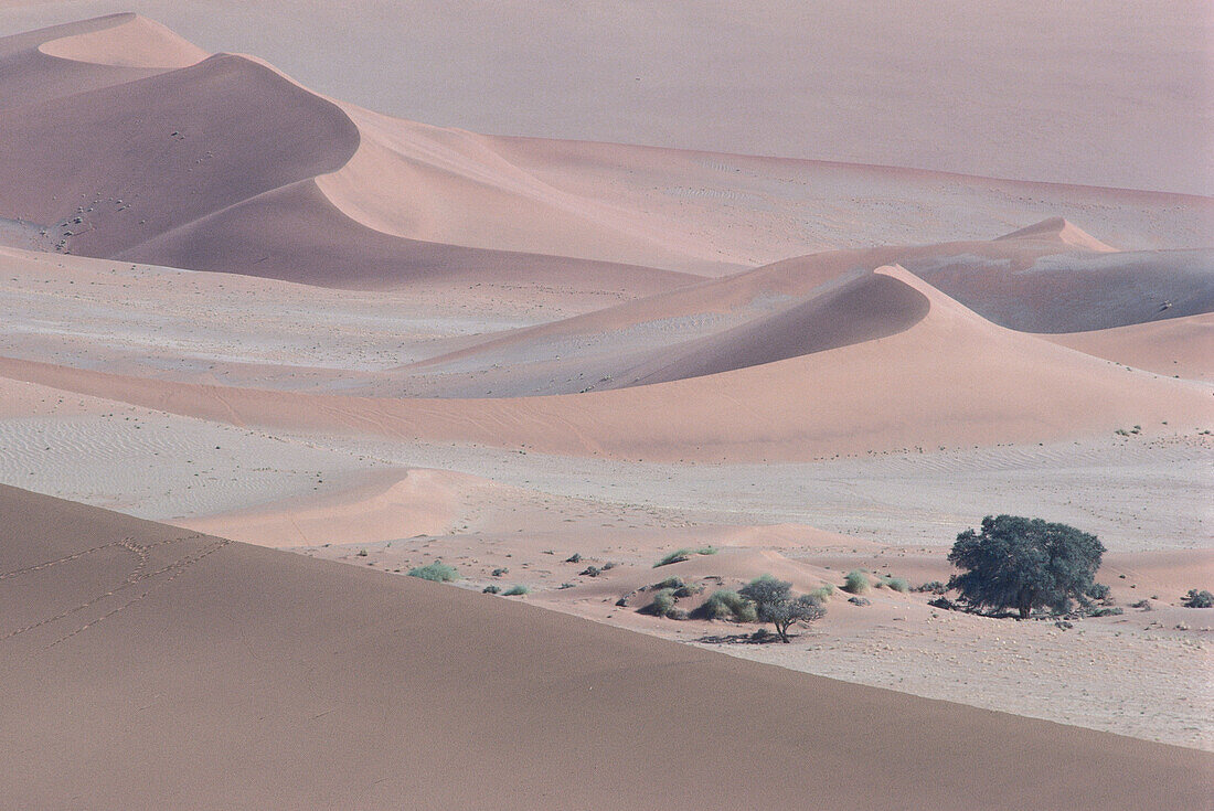 Desert, Sossusvlei, Namibia