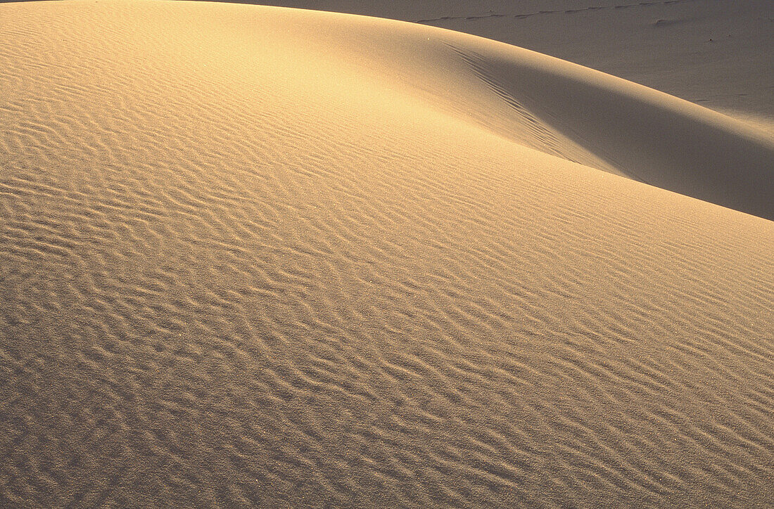 Ripples in Sand Dunes, Namaqualand, South Africa