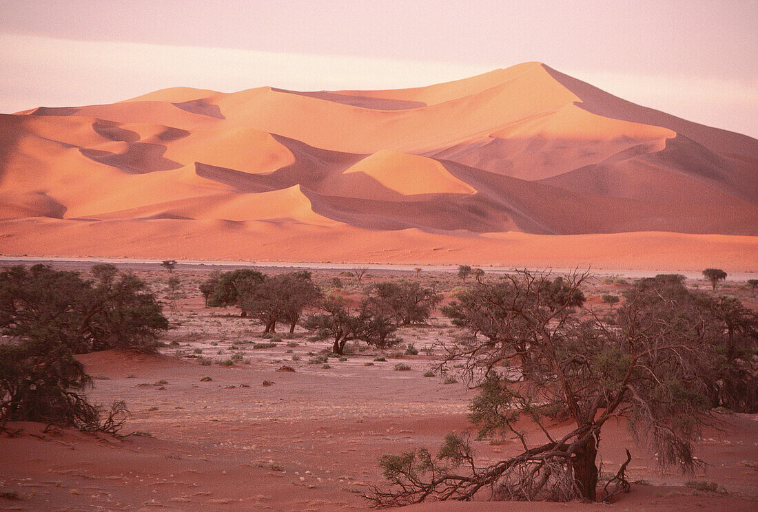 Wüste, Sossusvlei, Namibia