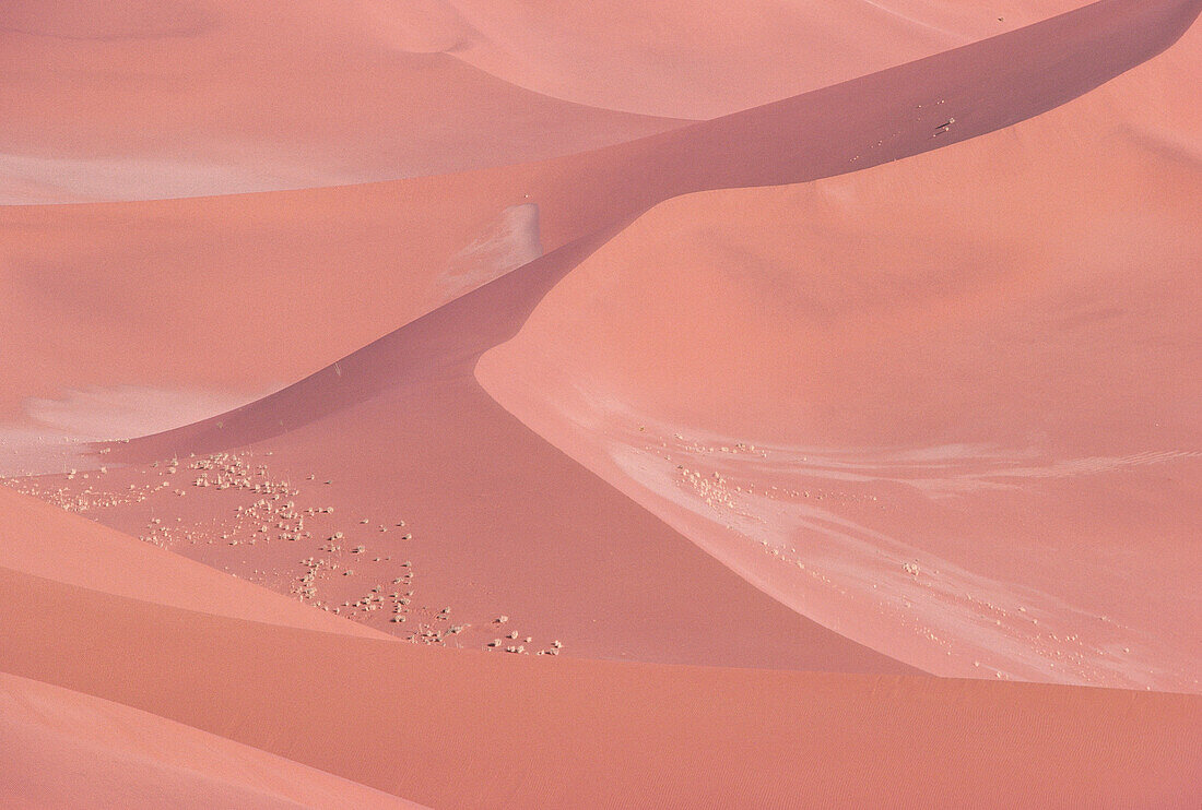 Desert, Sossusvlei, Namibia