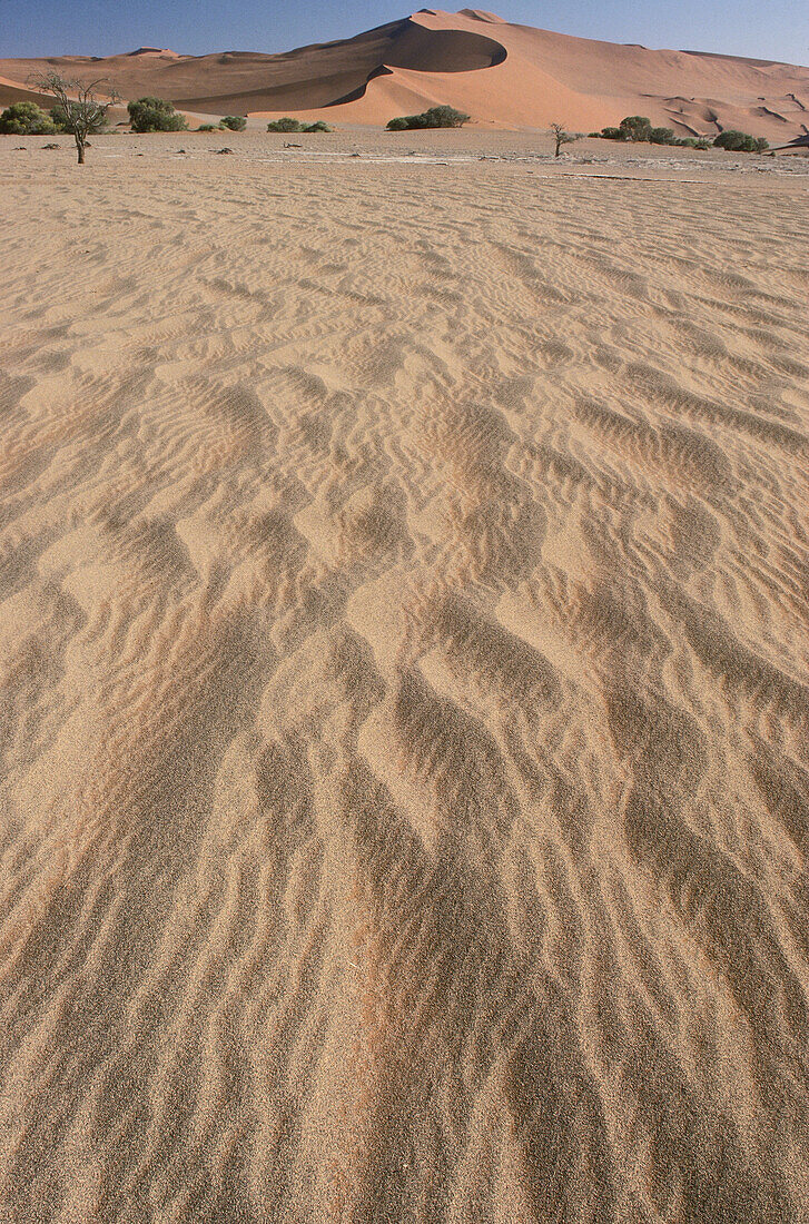 Pattern in Desert Sand, Namibia