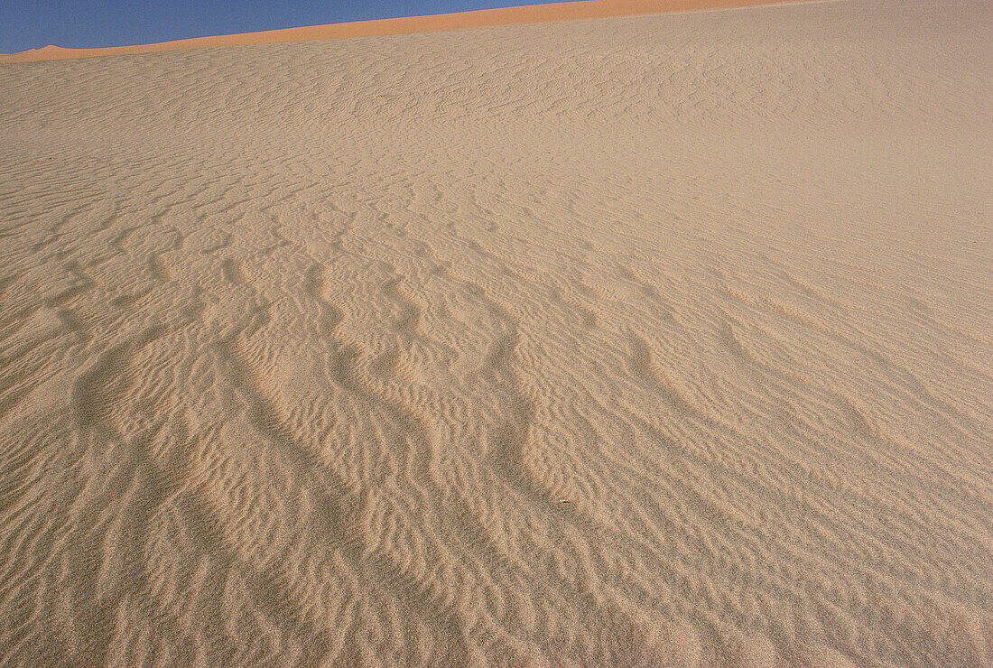 Pattern in Desert Sand, Namibia