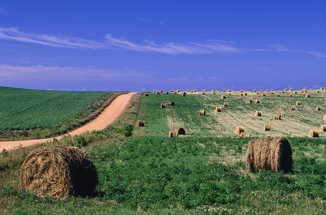 Hay Bales, Hampton, Prince Edward Island, Canada