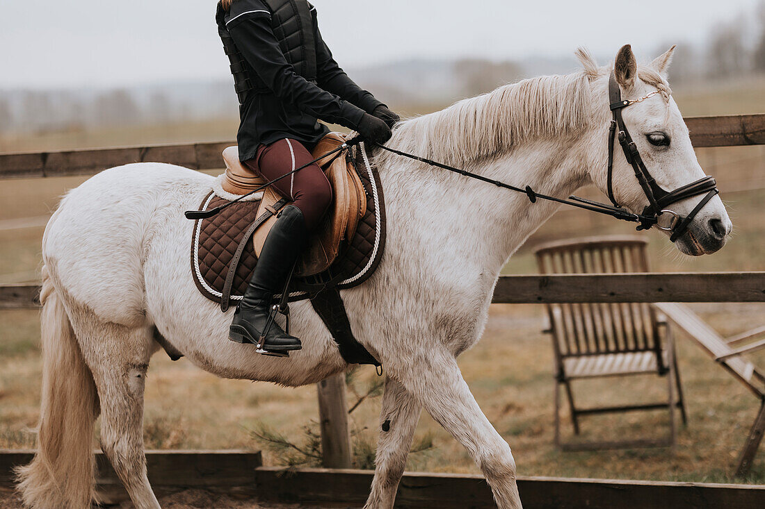 Low section of woman riding horse