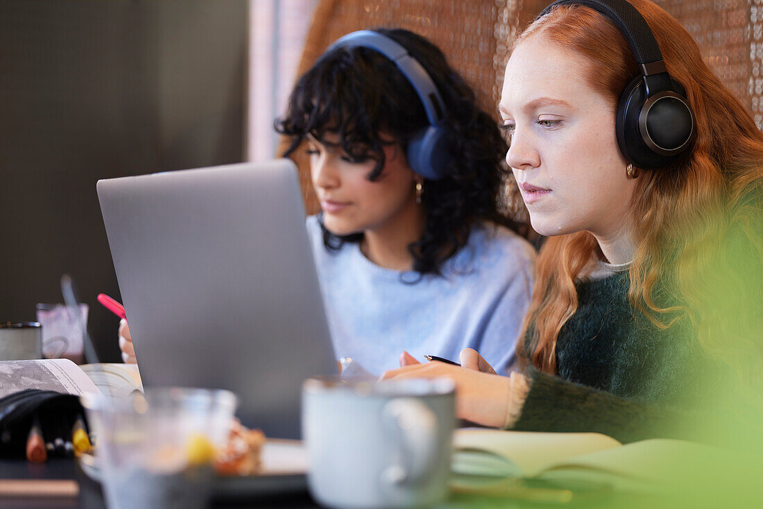 Female friends using laptop in cafe