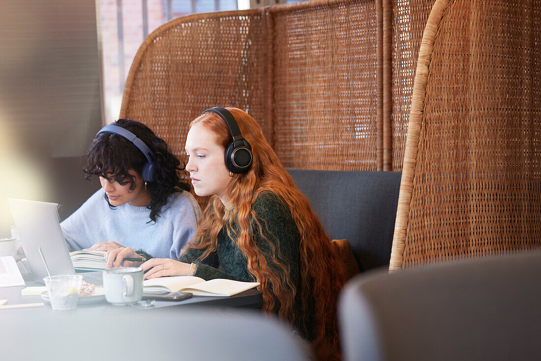 Female friends using laptop in cafe