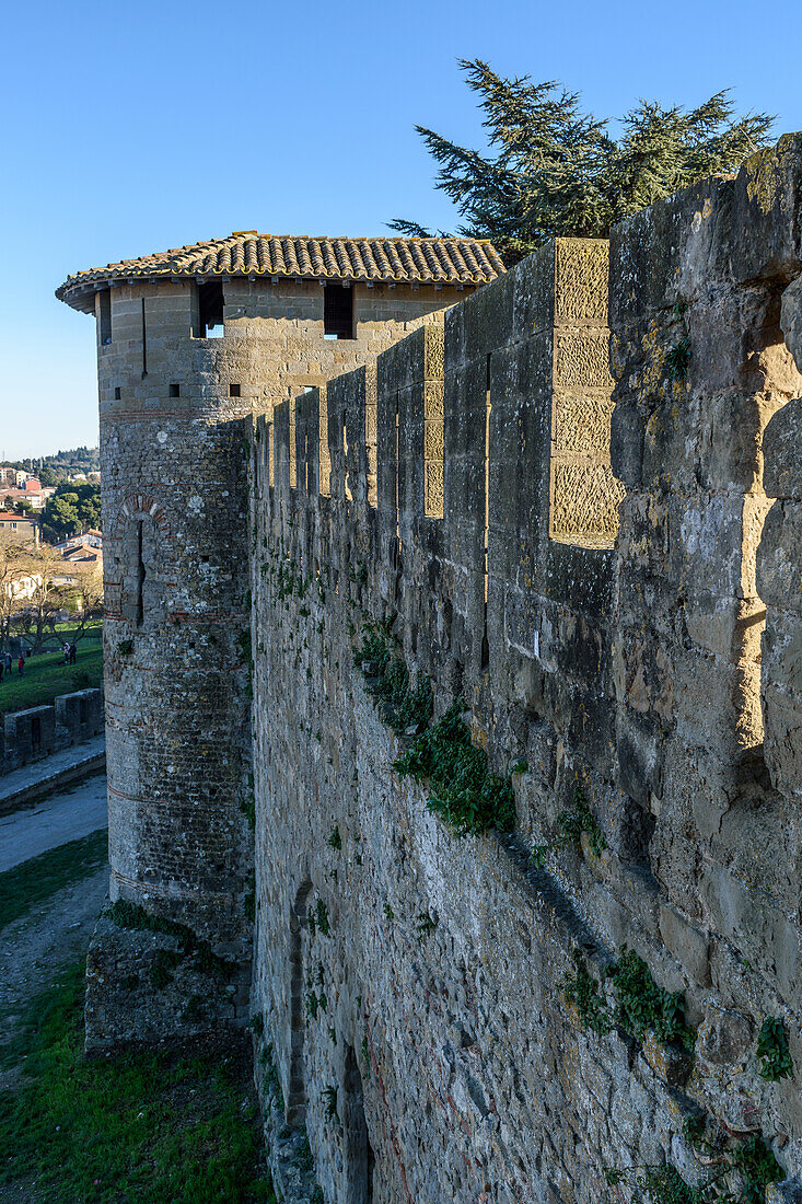 Das Château Comtal, Grafenschloss, ist eine mittelalterliche Burg in der Cité von Carcassonne, hohe Türme und Blick von der Spitze der Mauer.