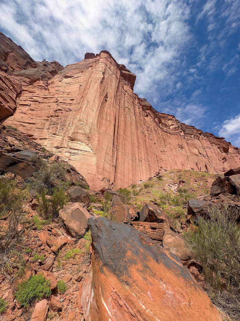 Pre-Hispanic indigenous petroglyphs on a boulder at the Puerta del Cañon in Talampaya National Park, Argentina.