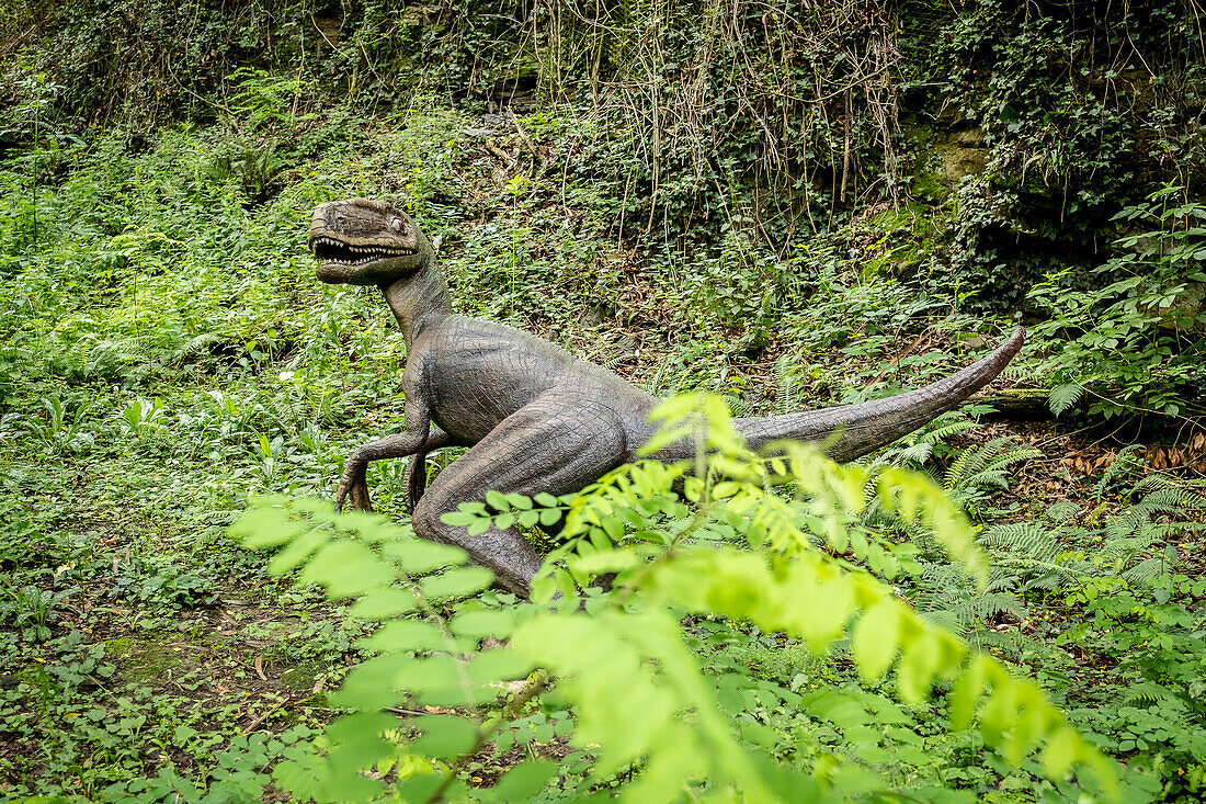 Karpin-Fauna. Nachbildung eines Velociraptors in Lebensgröße im Bereich des Terrasauro im Wildtierzentrum Karpin Fauna, Baskenland, Spanien. Karpin Fauna ist ein Wildtierzentrum, das sich zum Ziel gesetzt hat, Tieren aus illegalem Handel, ausgesetzten exotischen Haustieren und anderen Tieren ähnlicher Herkunft ein würdiges Leben zu geben, um das Bewusstsein für dieses Problem zu schärfen. Es verfügt auch über ein Terrasauro, in dem man einige der lebensgroßen Dinosaurierarten kennenlernen kann, die das Land vor 65 Millionen Jahren bevölkerten.