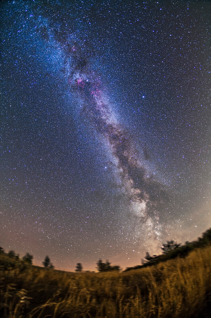 Die sommerliche Milchstraße an einem klaren, mondlosen Septemberabend, von meinem ländlichen Hinterhof in Süd-Alberta aus. Dies ist ein Stapel von 5 x 5 Minuten Belichtungen mit dem 15mm f/2.8 Objektiv und der Canon 5D MkII bei ISO 800, auf dem iOptron SkyTracker. Hochformatige Version.
