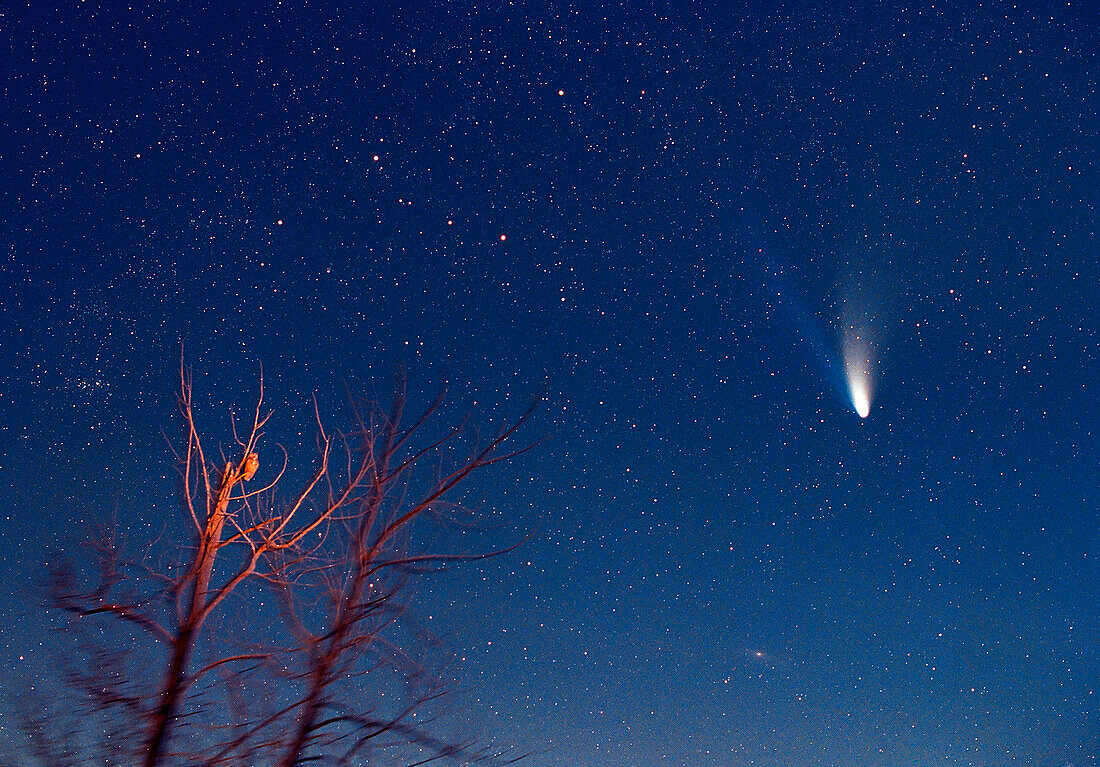 Komet Hale-Bopp mit Eule