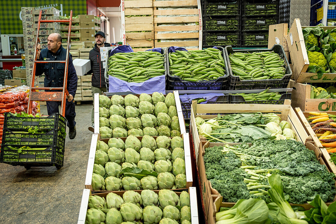 Fruit and Vegetable section, in Mercabarna. Barcelona´s Central Markets. Barcelona. Spain