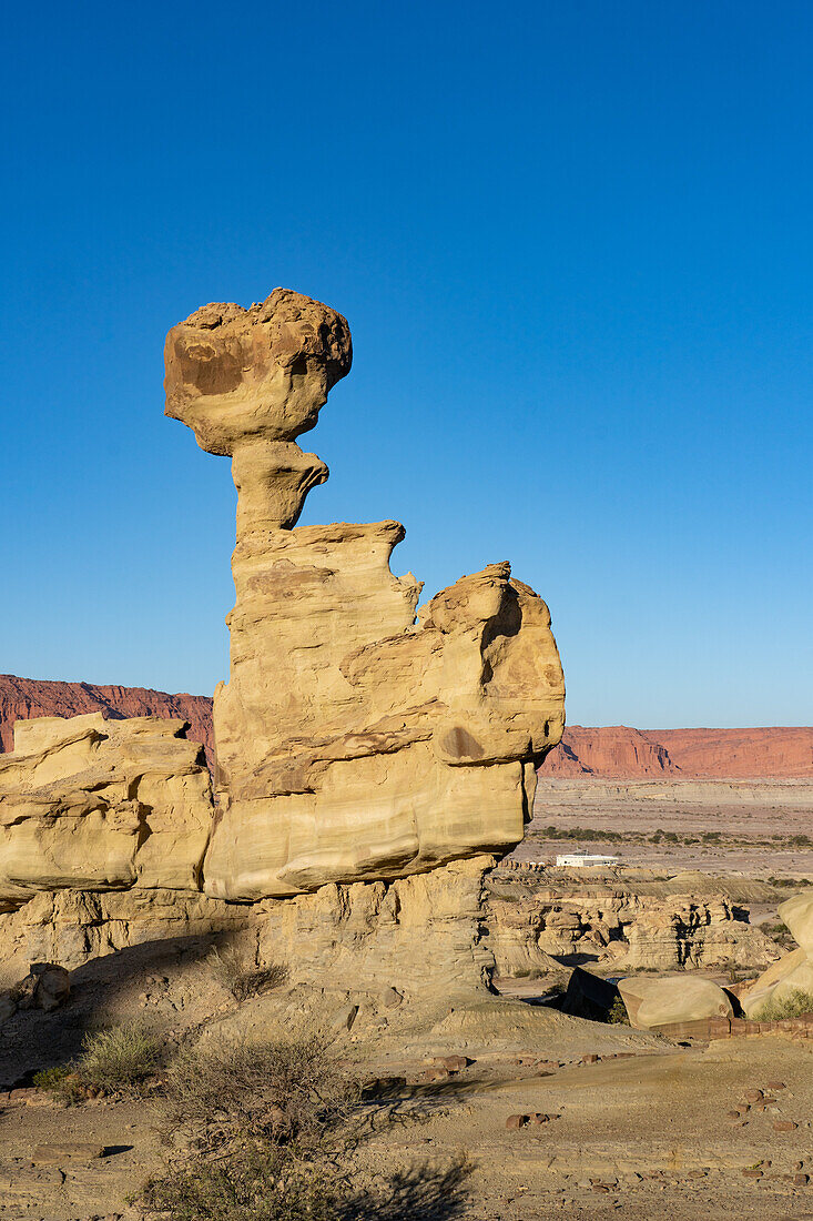 The Submarine, an eroded sandstone formation in Ischigualasto Provincial Park in San Juan Province, Argentina.