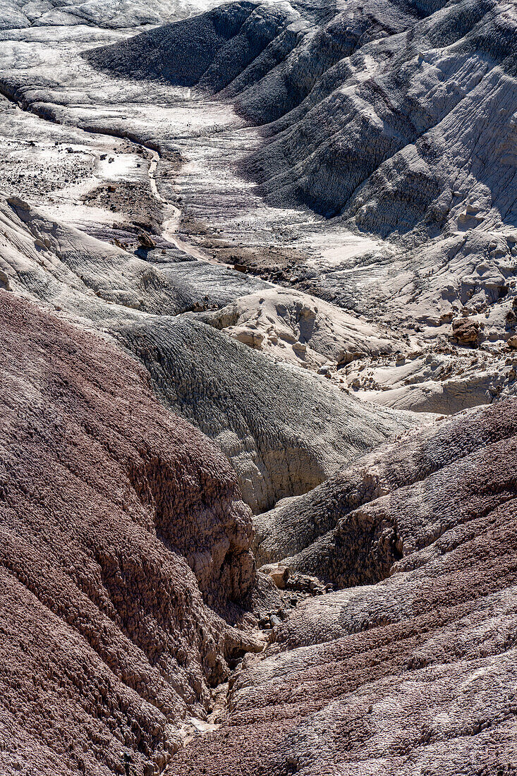 Die karge Landschaft des Tals des Mondes oder Valle de la Luna im Ischigualasto Provincial Park in der Provinz San Juan, Argentinien.