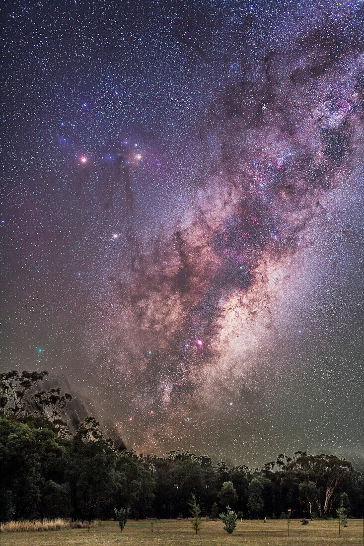 Scorpius and Sagittarius rising, with Scorpius coming up on its side, as seen from New South Wales, Australia, April 2, 2016. Mars is the brightest object left of Antares in Scorpius, with fainter Saturn below the reddish pairing of Mars and its rival Antares. The cyan-colored blob at lower left above the trees is Comet Linear/252P, which passed close to Earth the previous month. Many nebulas and clusters are visible along the Milky Way around the Galactic Centre in Sagittarius, which is rising here.