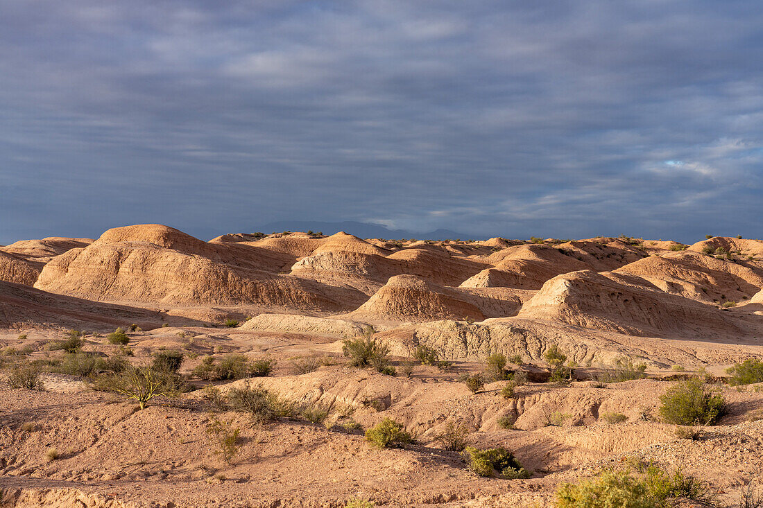 Eroded clay hill badlands in Talampaya National Park, La Rioja Province, Argentina.