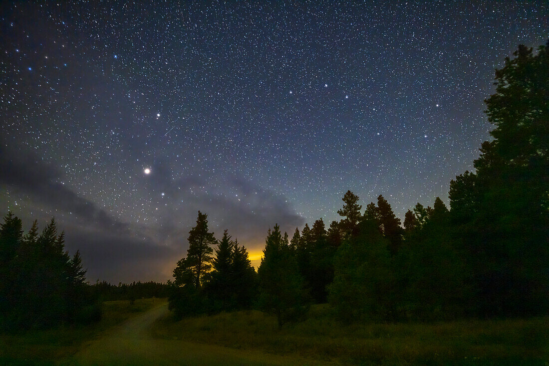 Der Große Wagen und Arcturus über einer bewaldeten Nachtlandschaft in den Cypress Hills, Saskatchewan. Aufgenommen während der jährlichen Saskatchewan Summer Star Party Ende August 2022. Der Cypress Hills Interprovincial Park ist ein Dark Sky Preserve.