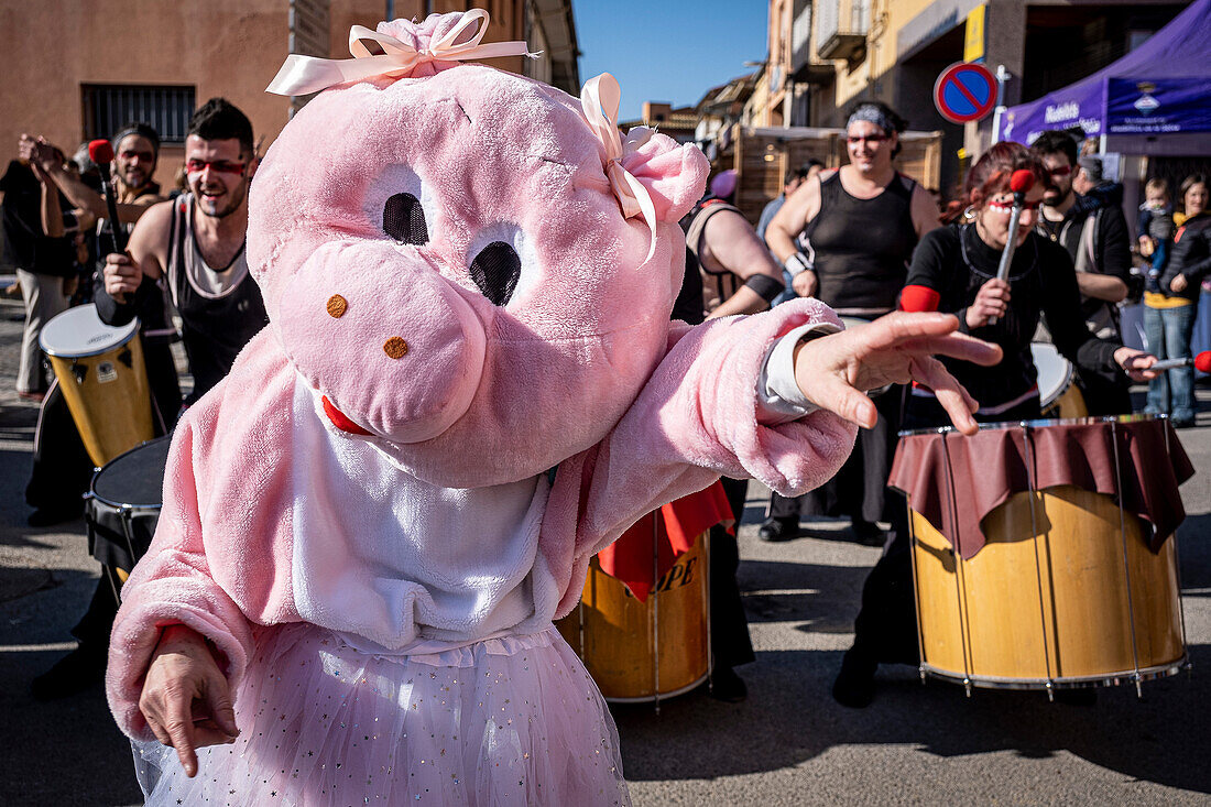 Mascot dancing to the rhythm of the batucada. Firaporc, pig fair, Riudellots de la Selva, Catalonia, Spain