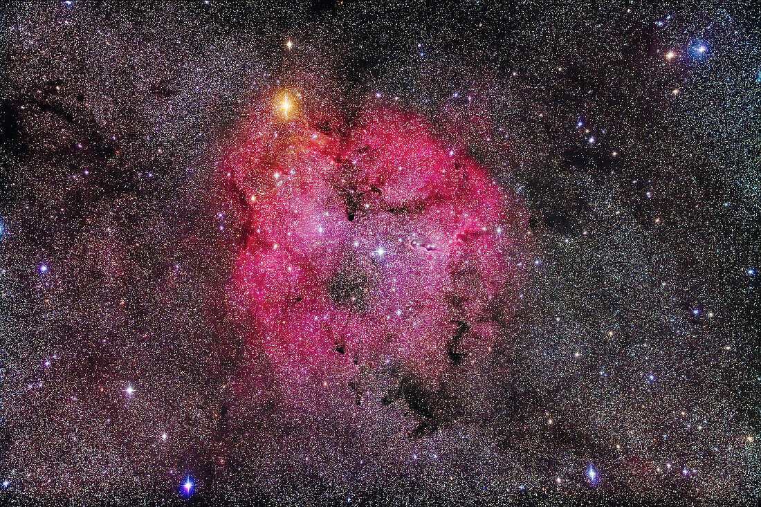 The large star-forming region of IC 1396 in Cepheus, taken September 4, 2018 from home in southern Alberta. The wide field includes the bright orange star Mu Cephei, or Herschel’s Garnet Star, at upper left. The Elephant Trunk Nebula is just right of centre. North is at top.
