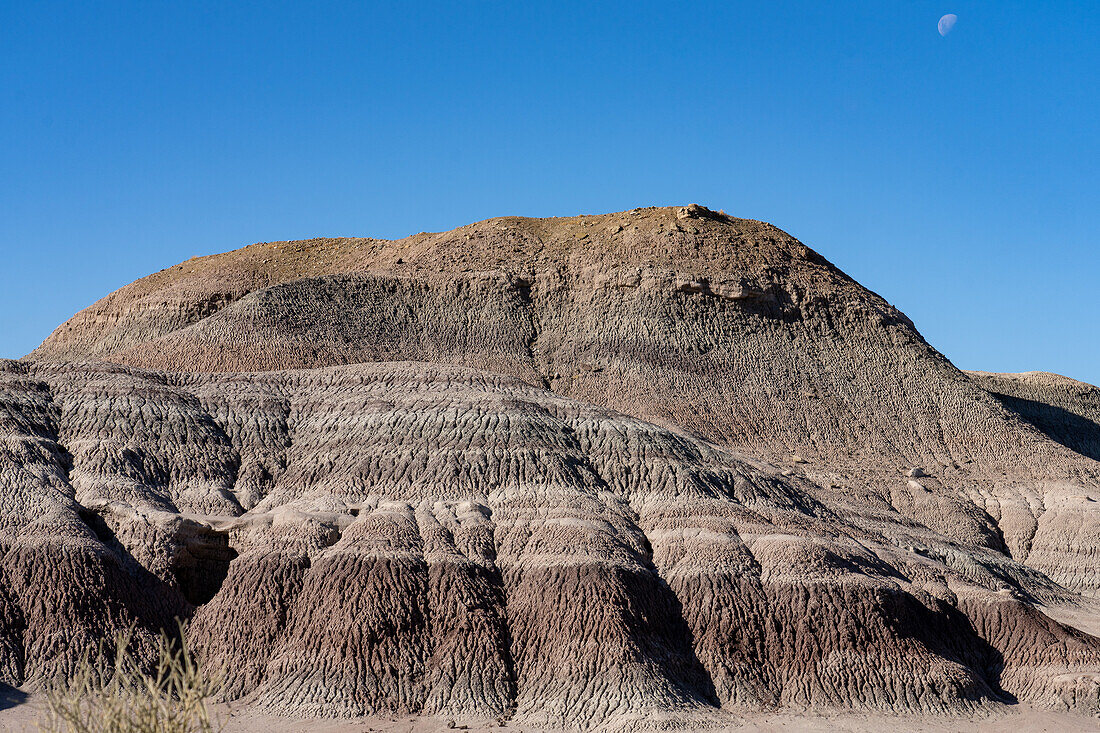 The moon over eroded geologic formations in the barren landscape in Ischigualasto Provincial Park San Juan, Argentina.