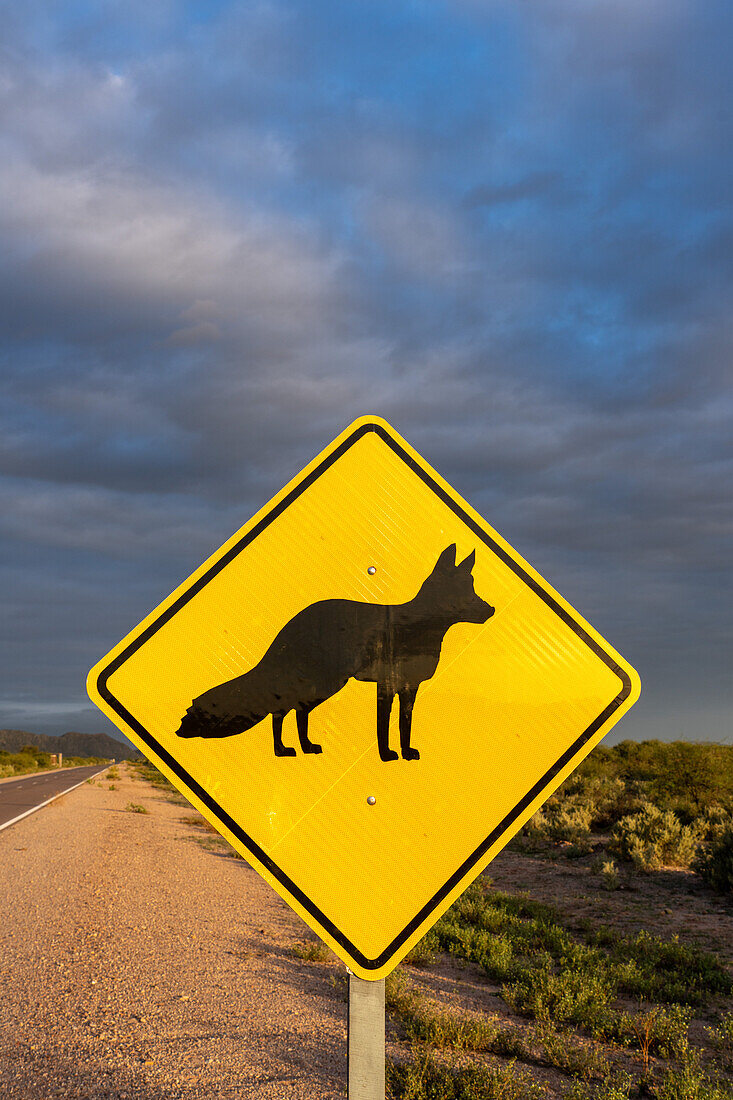 Ein Wildtier-Warnschild für den Patagonischen oder Südamerikanischen Graufuchs im Talampaya-Nationalpark, Provinz La Rioja, Argentinien.