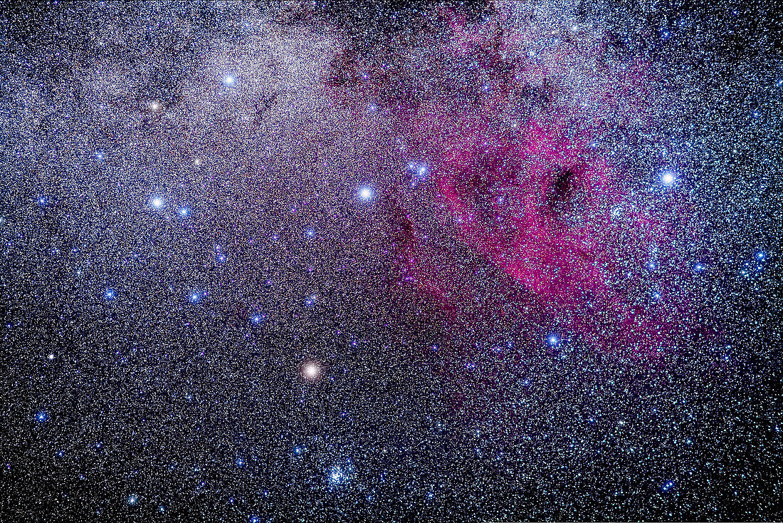The asterism of the False Cross in Vela and Carina, at left, with Gamma Velorum, a bright blue supergiant star, at right. In between are faint arcs of nebulosity in the Gum Nebula. To the left of Gamma Velorum is the open star clister NGC 2547. Below the bottom star of the False Cross, Epsilon Carinae or Avior, is the large naked-eye star cluster NGC 2516. To the right of the right star of the False Cross, Delta Velorum, is the loose open cluster IC 2391.