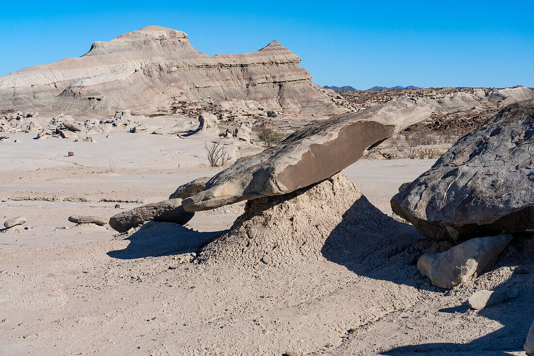 Eine Sandsteinplatte balanciert auf einem erodierten Erdpfeiler im Ischigualasto Provincial Park in der Provinz San Juan, Argentinien.