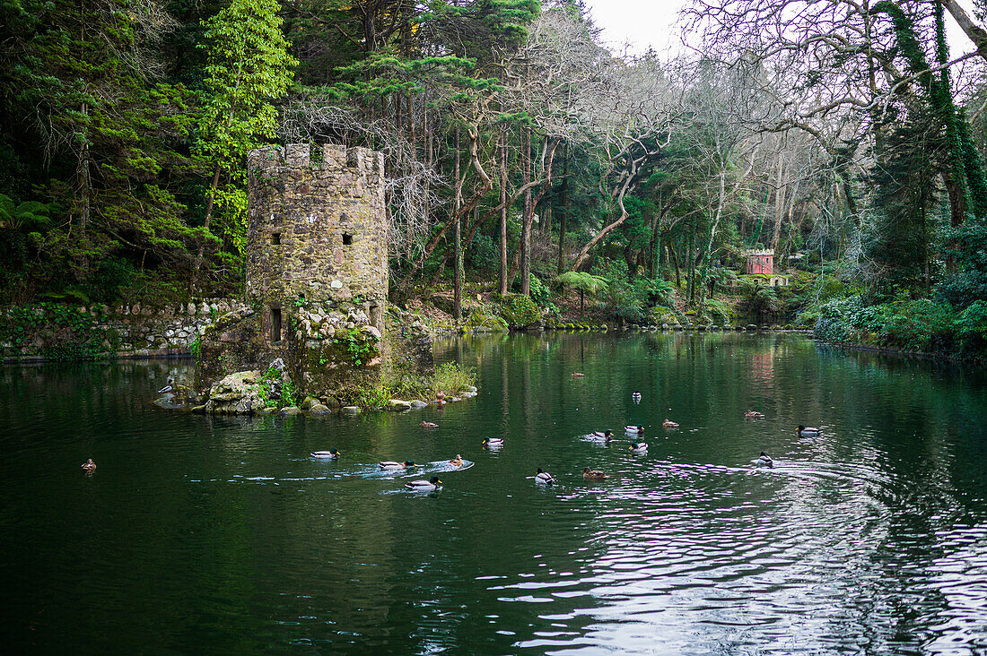 Tal der Seen und Vogelbrunnen im Park und Nationalpalast von Pena (Palacio de la Pena), Sintra, Portugal