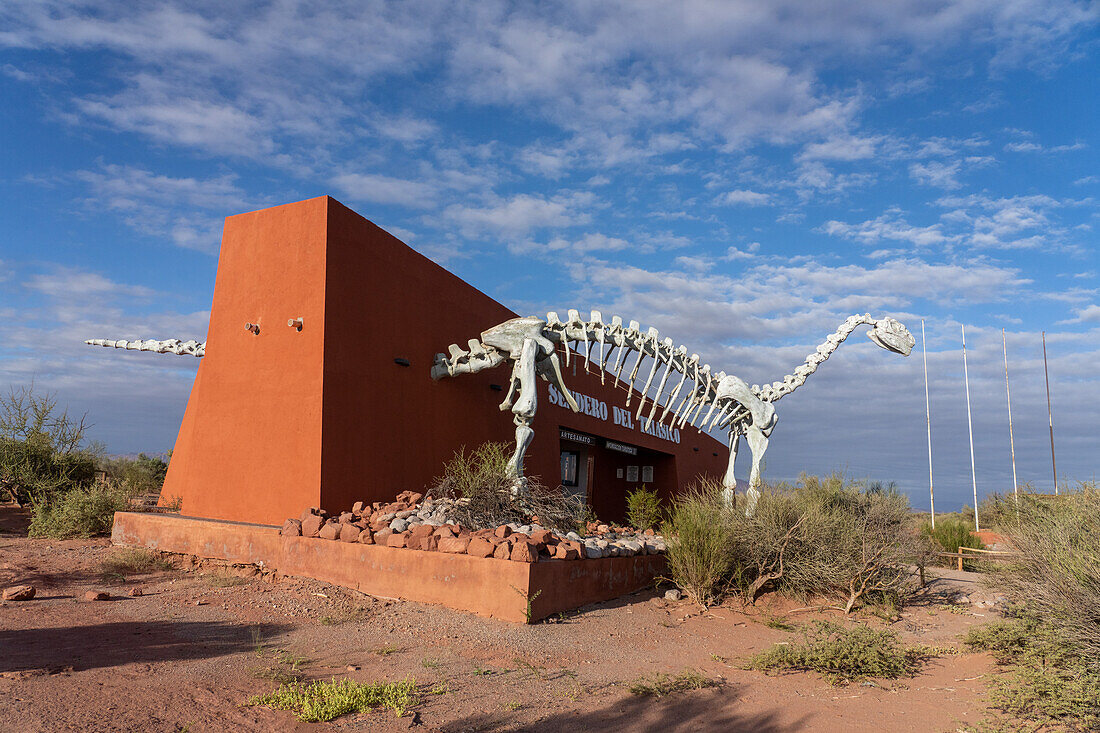 A reconstructed Lessemsaurus sauropoides skeleton at the Triassic Trail in Talampaya National Park, Argentina.