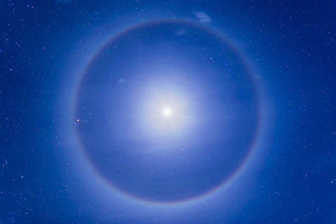 Ein Eiskristallhalo um den ersten Viertelmond hoch am nördlichen Winterhimmel, am 27. Januar 2015, aufgenommen von der Nähe von Pinos Altos, New Mexico. Die Plejaden befinden sich oberhalb und links des Mondes, die Hyaden und Aldebaran links davon. Der grüne Komet Lovejoy (C/2014 Q2) befindet sich im Mondhalo oben.