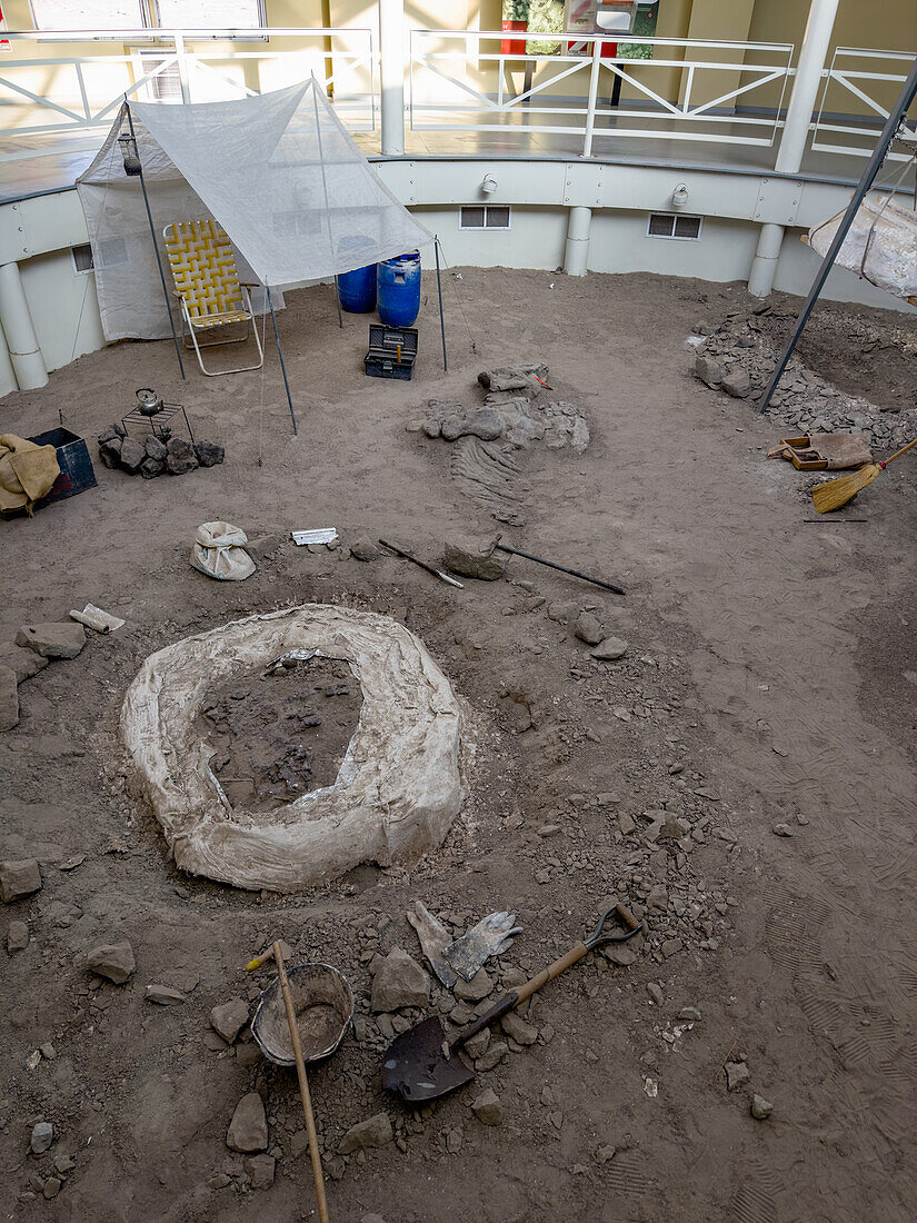 Eine Nachbildung eines Dinosaurier-Ausgrabungslagers im William Sill Museum im Ischigualasto Provincial Park, San Juan, Argentinien. Echte Dinosaurierknochen sind dort ausgestellt, wo sie teilweise ausgegraben wurden.