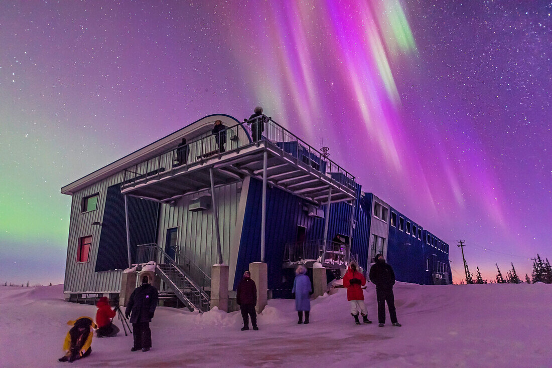 Our group of Learning Vacations tourists enjoy the start of a fine display of Northern Lights at the Churchill Northern Studies Centre, March 6, 2016. As curtains appear to the east, another array of curtains shines to the west behind them with a strong purple tint lighting the sky and ground. The Andromeda Galaxy sits amid the curtains.