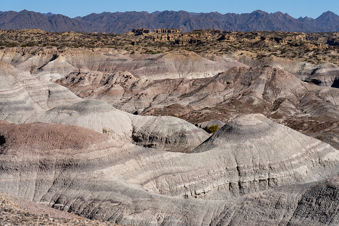 The barren landscape of the Valley of the Moon or Valle de la Luna in Ischigualasto Provincial Park in San Juan Province, Argentina.