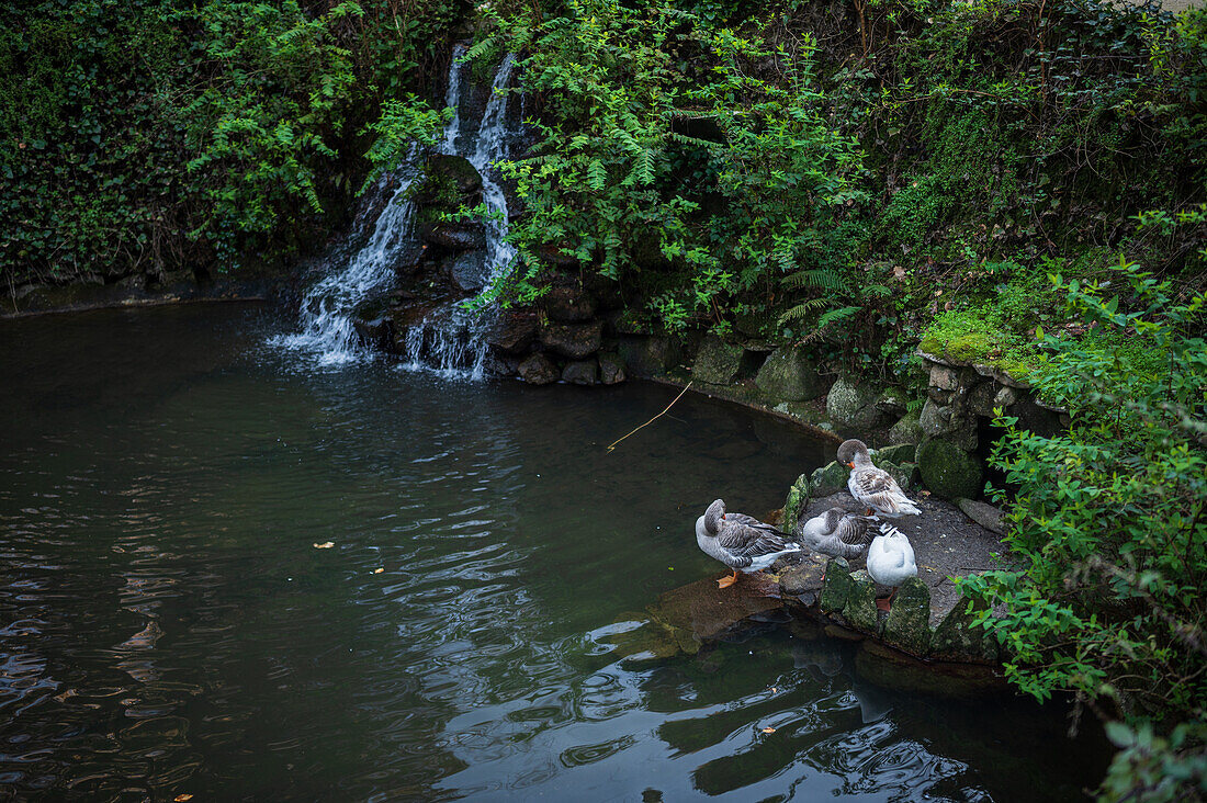 Valley of Lakes and Little Birds Fountain at Park and National Palace of Pena (Palacio de la Pena), Sintra, Portugal