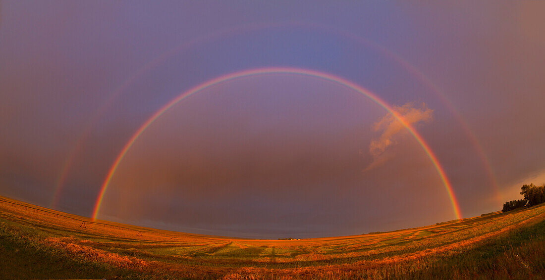 Bright rainbow created by Sun low in west just about to set with raindrops in the air to the east, and light rain falling at the time. Taken with Canon 7D and 10-22mm lens at 10mm, in two sections, stitched together in Photoshop. Note: bright interior region inside inner bow, darker exterior region, supernumerary arcs along inside edge of inner bow at top, reversal of colours in two bows, and bright red portion of the spectrum from very red sunlight from low sun angle. Taken from southern Alberta, Canada.