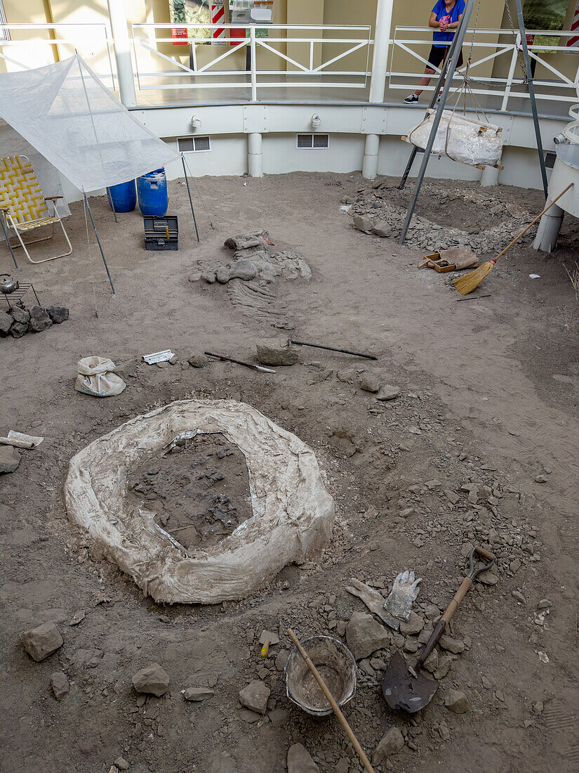 A reconstuction of a dinosaur dig camp in the William Sill Museum in Ischigualasto Provincial Park, San Juan, Argentina. Actual dinosaur bones are displayed where they have been partially excavated.