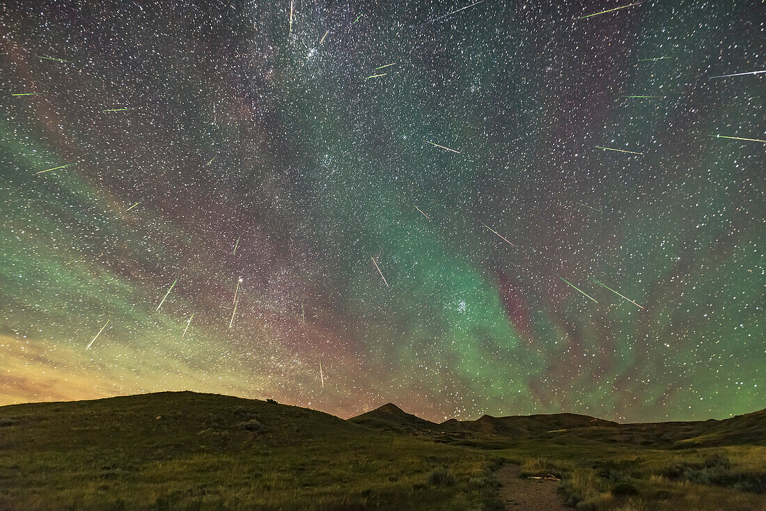 Ein Kompositbild des Perseiden-Meteoritenschauers in der Nacht vom 11. auf den 12. August 2016, mit Blick nach Nordosten auf den Radianten im Perseus links von der Mitte, mit den Plejaden und Hyaden im Stier im Vordergrund. Hier sind 33 Meteore zu sehen. Man beachte die relativ gleichmäßige grüne bis rote Färbung jedes Meteorstreifens. Ein paar Streifen sehen eher weiß aus und könnten aufflackernde Satelliten sein, obwohl ihre Flugbahn mit der eines Perseiden übereinstimmt.