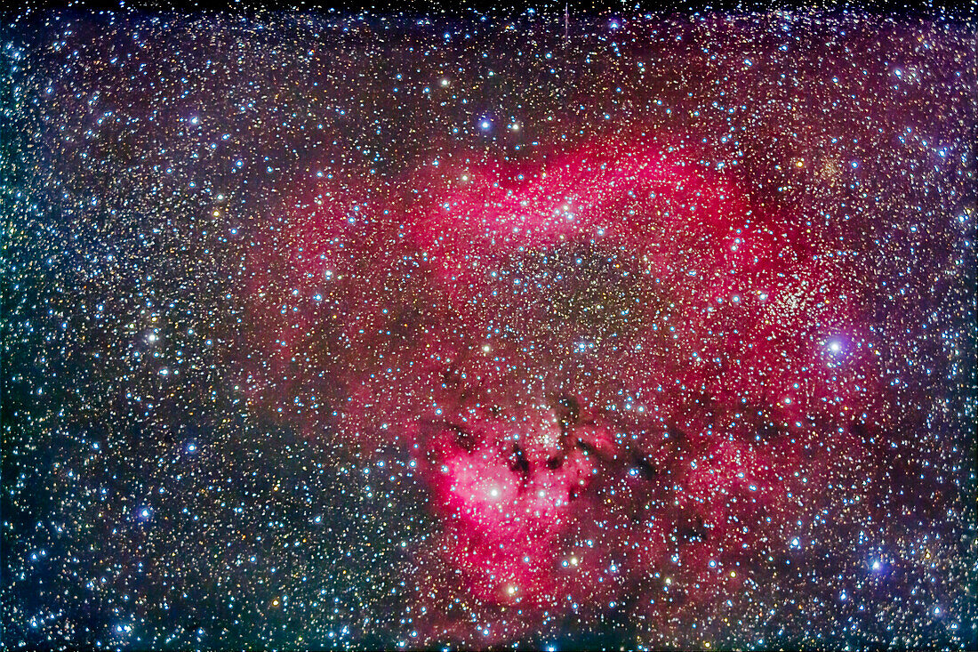 The region of nebulosity on the Cepheus-Cassiopeia border with NGC 7822 (top) and Ced 214 (bottom). This is a stack of 15 x 7 minute exposures at f/4.4 with the 92mm apo refractor and filter-modified Canon 5D Mark II at ISO 800. Taken from New Mexico. Focus is a little soft.