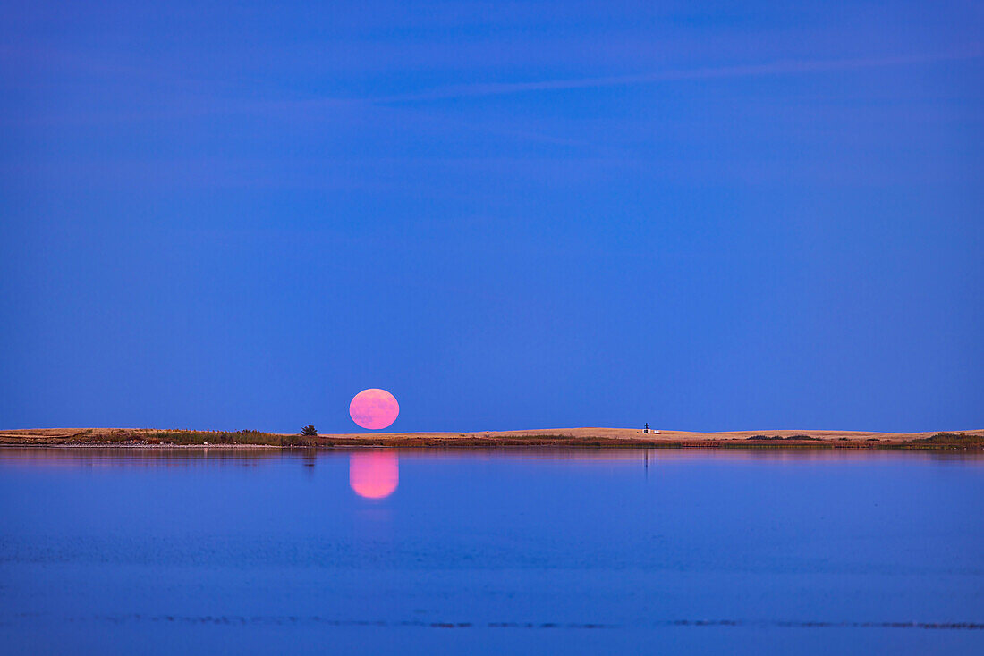Der Aufgang des vollen "Jägermondes" am 9. Oktober 2022 mit dem Mond, der sich in dieser Nacht im ruhigen Wasser des Crawling Lake Reservoirs in Süd-Alberta spiegelt. Der Mond erschien sehr rosa, als er in den klaren Himmel in der Nähe des Horizonts aufstieg.
