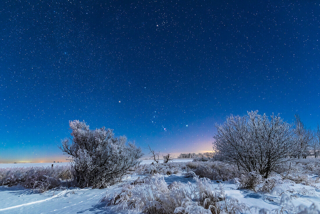 Orion und Taurus gehen im Mondlicht über einer Schneelandschaft bei mir zu Hause in Süd-Alberta auf, in einer sehr kalten und frostigen -20° C Nacht am 3. Januar 2017. Die Beleuchtung stammt von der zunehmenden Mondsichel. Orion ist unten und Taurus oben.