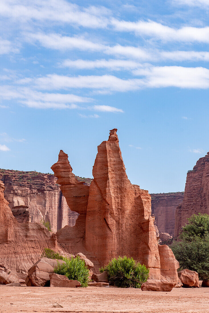 Das Kamel, ein erodierter roter Sandstein im Talampaya-Nationalpark, Provinz La Rioja, Argentinien.
