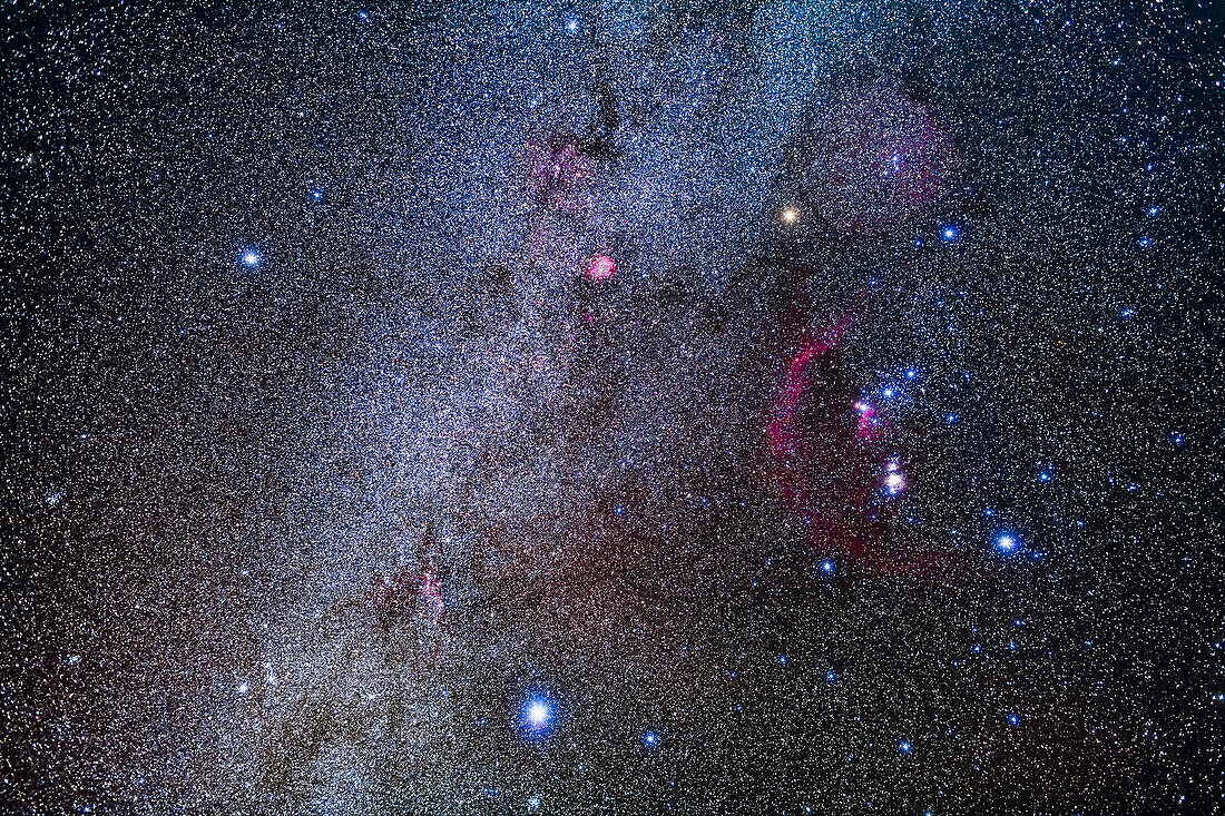 The constellation of Orion the Hunter, at right, and his two Hunting Dogs and their brightest stars: Procyon in Canis Minor (at left) and Sirius in Canis Major (at bottom).