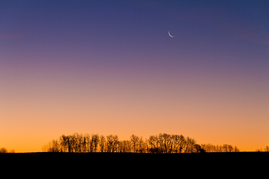 Abnehmende Mondsichel in der Morgendämmerung von zu Hause aus, 4. November 2010. Aufgenommen mit 18-200mm Objektiv und Canon 7D. Aufgenommen von Süd-Alberta, Kanada.