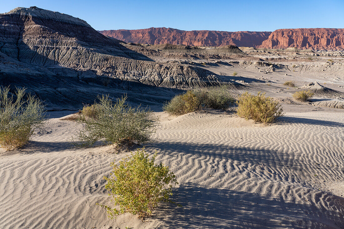 Ripples in the sand dunes in the barren landscape in Ischigualasto Provincial Park in San Juan Province, Argentina.