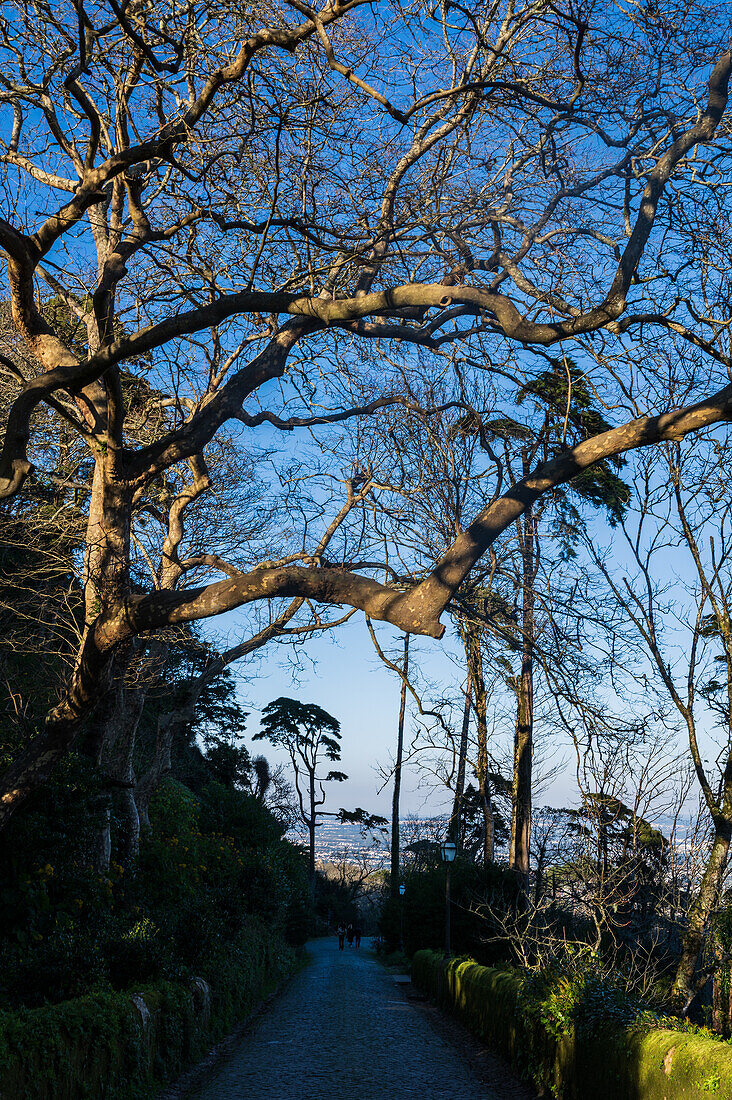 Park and National Palace of Pena (Palacio de la Pena), Sintra, Portugal