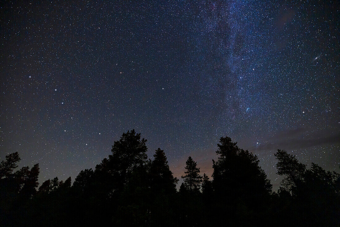 Die Sterne des Grossen Wagens links und das W der Kassiopeia rechts über einer Silhouette von Bäumen im Cypress Hills Interprovincial Park, Saskatchewan. Polaris und der Kleine Wagen befinden sich in der Mitte. Dies dient zur Veranschaulichung der Position dieser nördlichen Sterne im Spätsommer und Herbst. Die Andromeda-Galaxie befindet sich oben rechts, mit einem kurzen Meteorstreifen darunter.