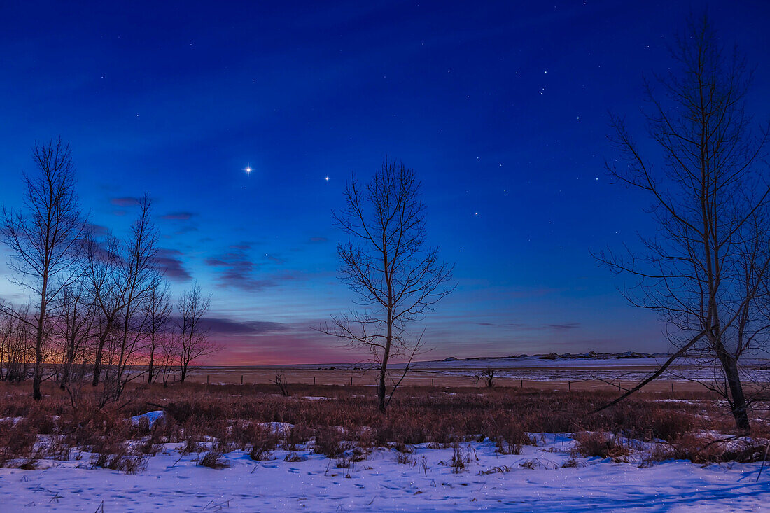 Venus (at left) and Jupiter close together in the dawn sky, and to the east of Scorpius, here at right, with reddish Antares between the trees. This was January 26, 2019. The two planets were closer together earlier in the week but clouds got in the way! Illumination is from the waning gibbous Moon off frame at right.