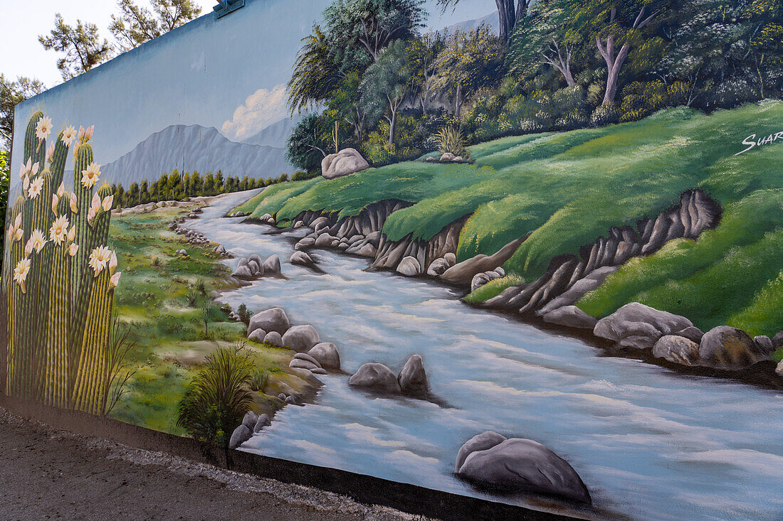 Ein bemaltes Wandgemälde auf der Straße in Villa San Agustin in der Provinz San Juan, Argentinien.