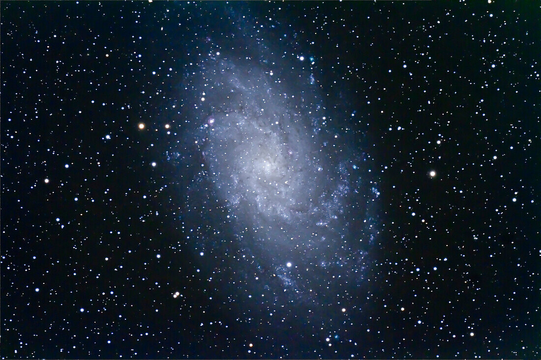 M33, the Triangulum Spiral, a dwarf spiral in the Local Group. This is a 6-image stack of 12-minute exposures with the Canon 7D at ISO 800 on the 130mm Astro-Physics apo refractor at f/6 on AP 600E mount and SBIG SG4 autoguider. Poor seeing bloated star images somewhat.